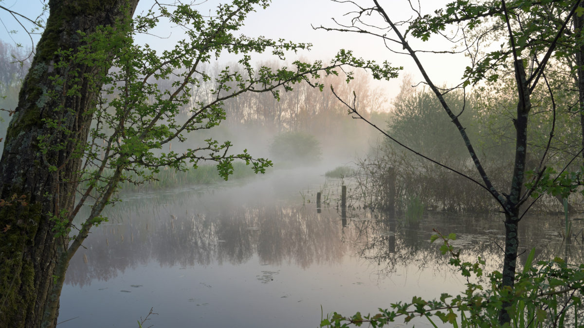 foto's ARK 16 augustus 2021