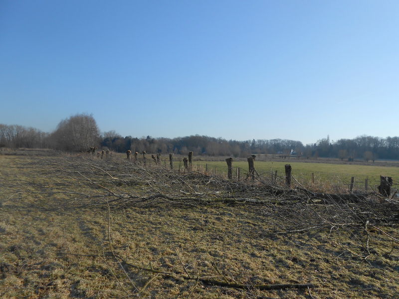 foto's knotdagen januari 2017