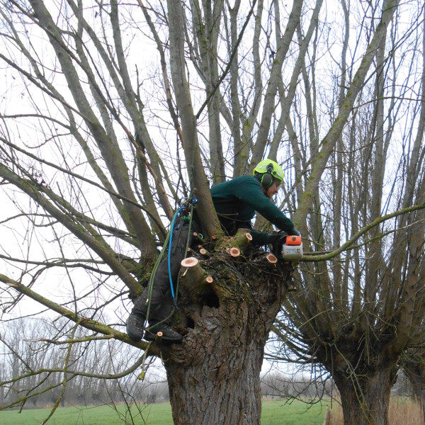 foto's knotdagen 2018