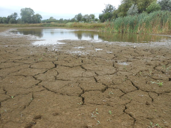 2017-wandeling meters en peters schapen