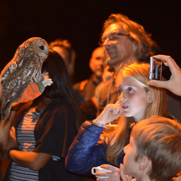 foto's Nacht van de Vleermuis 2016